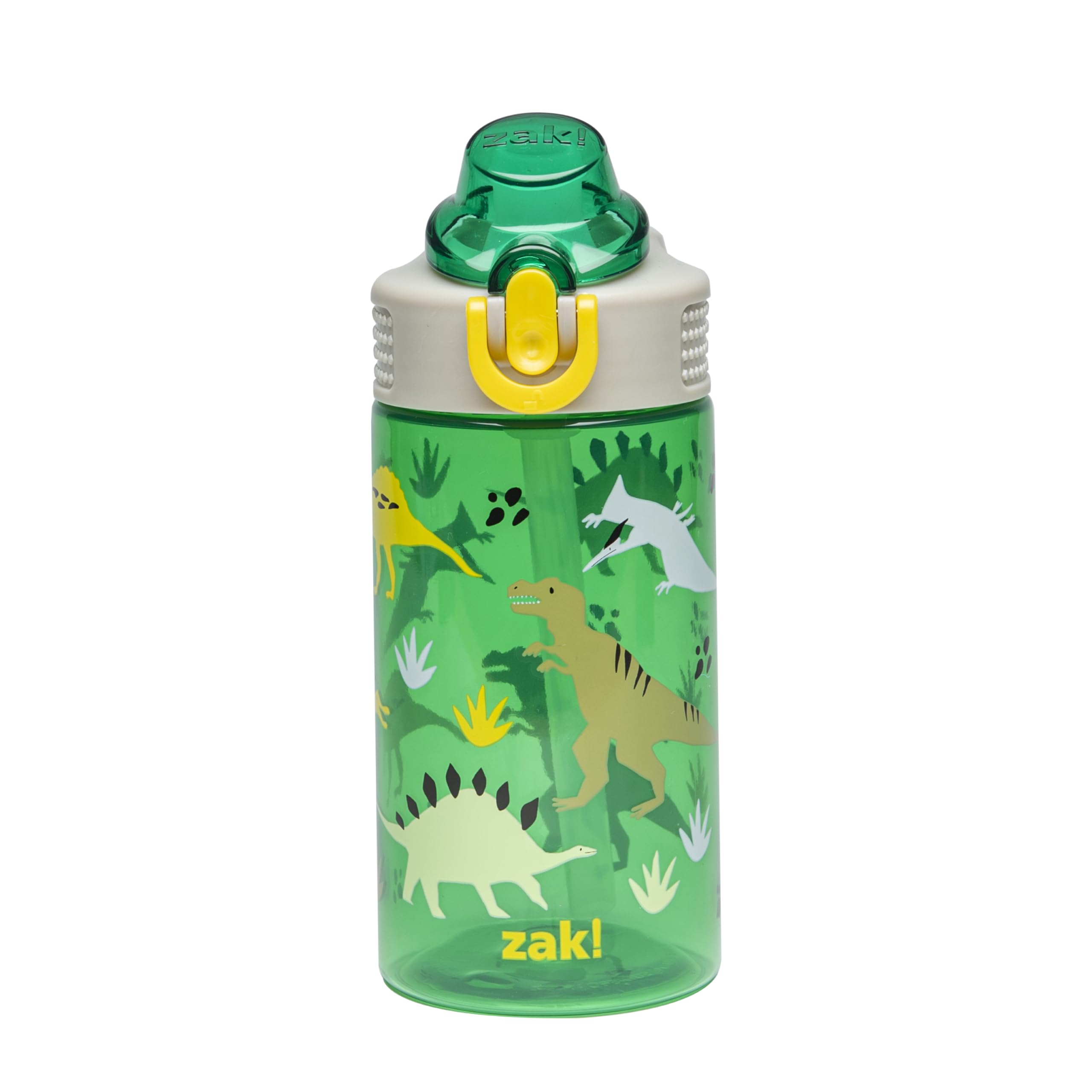 Zak Designs Minecraft Sage Water Bottle For School or Travel, 25oz Durable Plastic Water Bottle With Straw, Handle, and Leak-Proof, Pop-Up Spout Cover (Creeper)